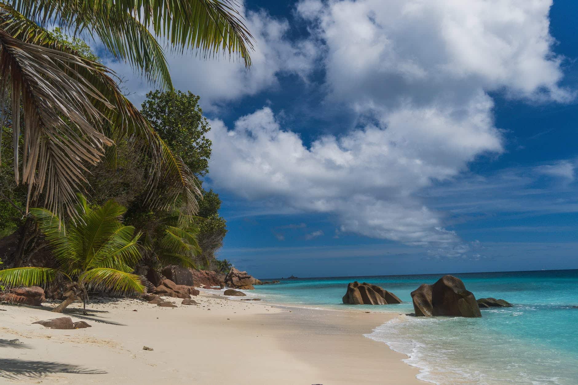 Isole Seychelles: un'isola tropicale per una luna di miele romantica e rilassante